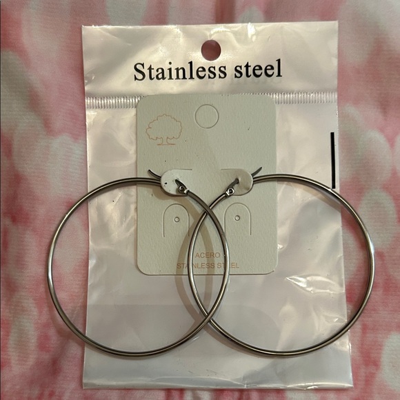 Elegant Silver Stainless Steel Hoop Earrings - Picture 1 of 4